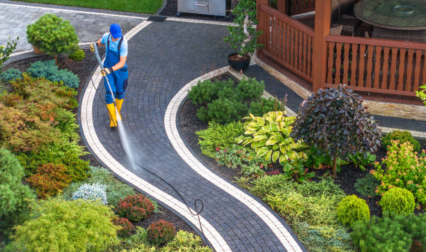 Best Local Pressure Washing Services  in Grove Hill, AL